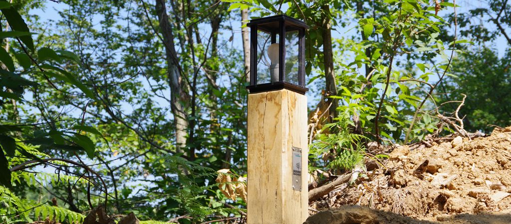 licht armatuur